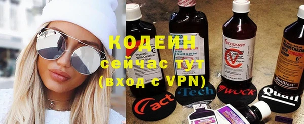 дурь Арсеньев