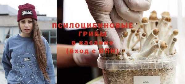 дурь Армянск