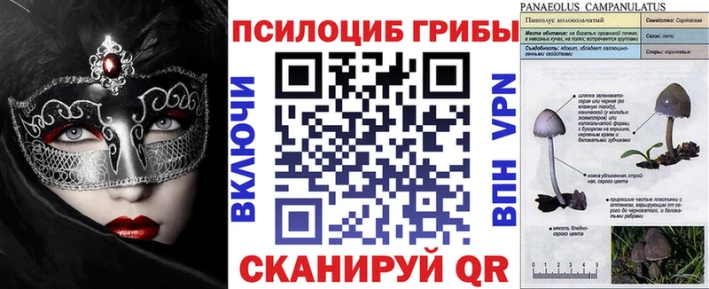 Галлюциногенные грибы MAGIC MUSHROOMS  MEGA ссылки  маркетплейс телеграм  Полярный 